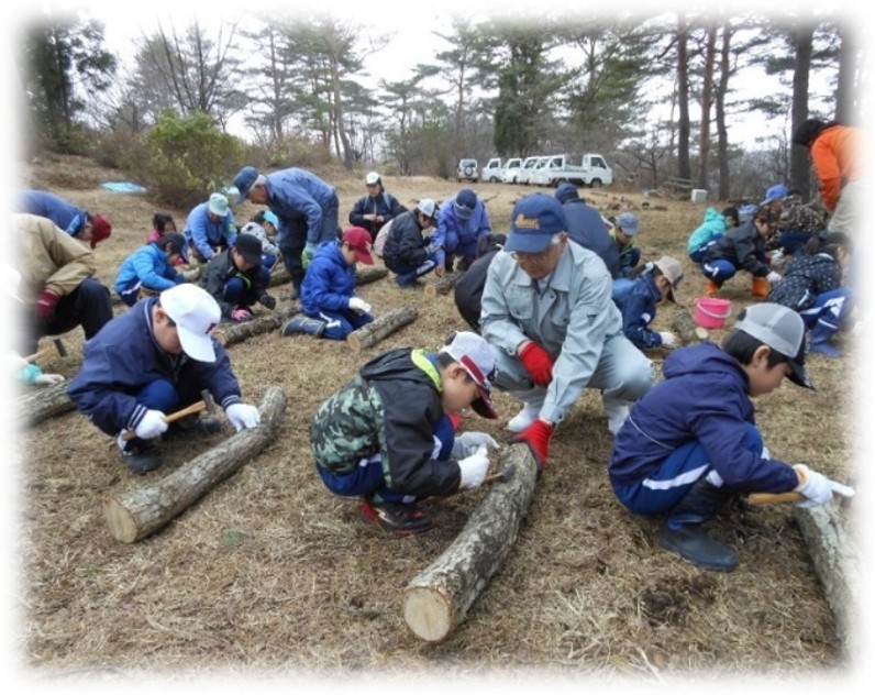 二ツ井小　キノコの植菌